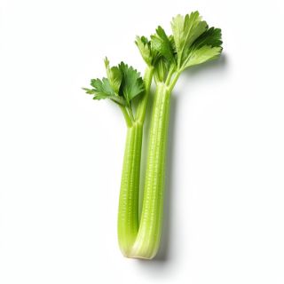 Celery