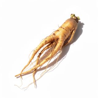 Ginseng