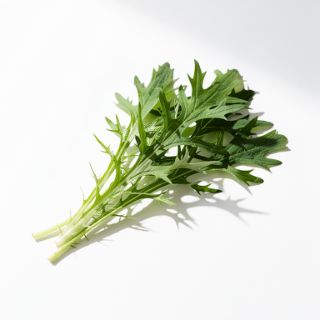 Mizuna