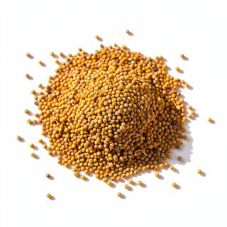 Mustard Seeds
