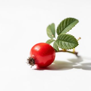 Rose Hips
