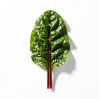 Swiss Chard