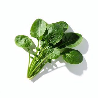 Watercress