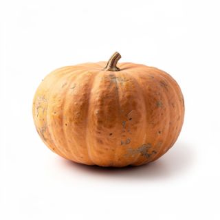 Winter Squash